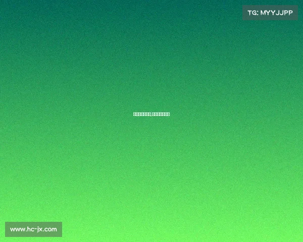 汉堡队最新赛事,汉堡队最新比赛